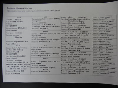 DSC03945.JPG