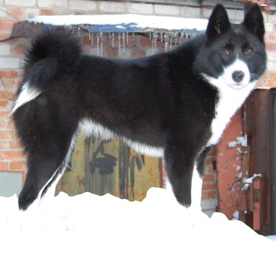 DSC_0046.JPG