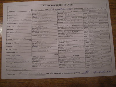 IMGP0058.JPG