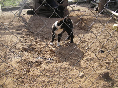 IMGP0073.JPG