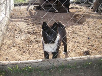 IMGP0079.JPG