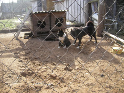IMGP0080.JPG