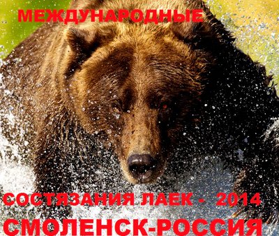 4985251807_6fa9fd2d71_b.jpg