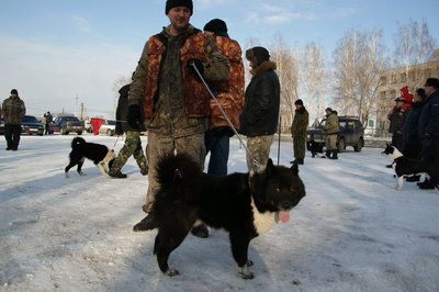 DSC00576.JPG