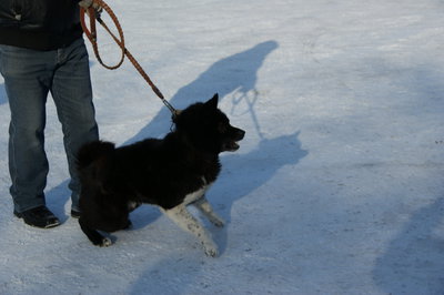 DSC00671.JPG