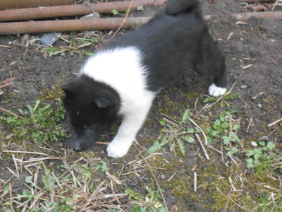 DSCN0470.JPG