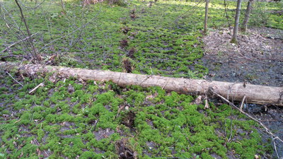 20140510_074740.jpg