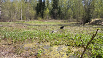 20140509_131845.jpg