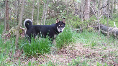 20140511_182034.jpg