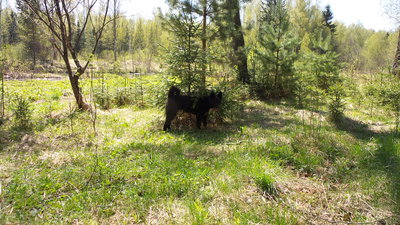 20140509_131549.jpg
