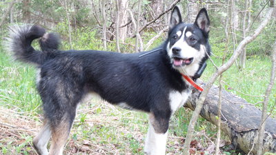20140511_181520.jpg