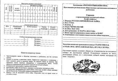 родословная.jpg