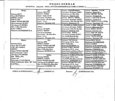таблица родословная.jpg