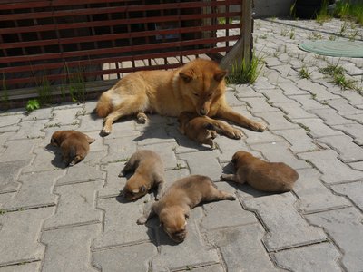 P10d3.jpg