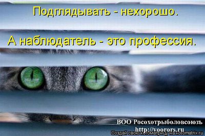под.jpg