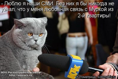 сми.jpg