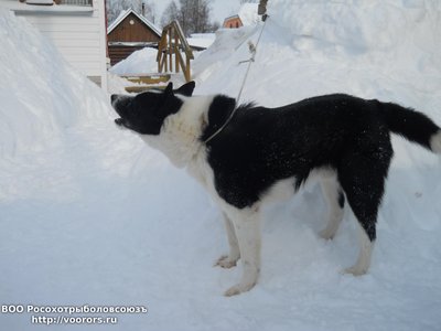 DSCN1537.JPG