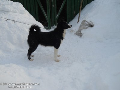 DSCN1517.JPG