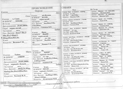 Родословная Тайна.jpg