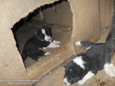 DSCN2285.JPG
