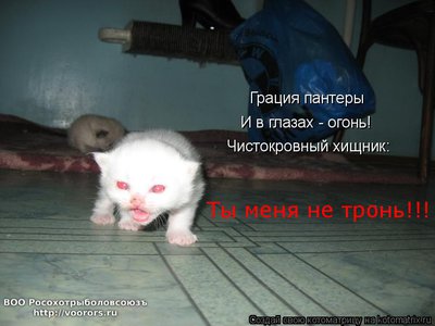 не тронь.jpg