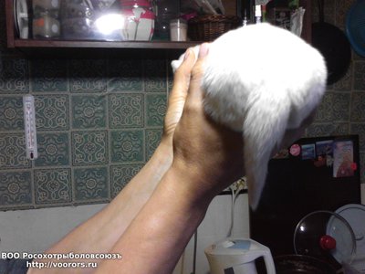 IMG_20140529_181801.jpg