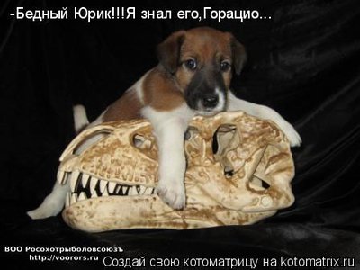 юр.jpg