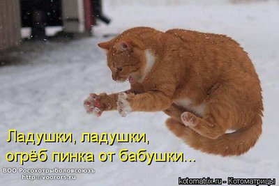 лад.jpg