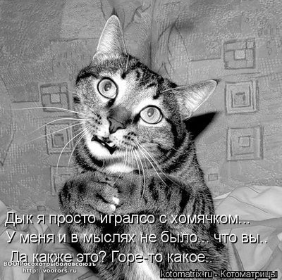 пож.jpg