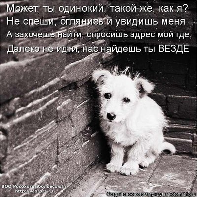 ог.jpg