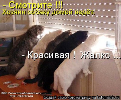 соб.jpg