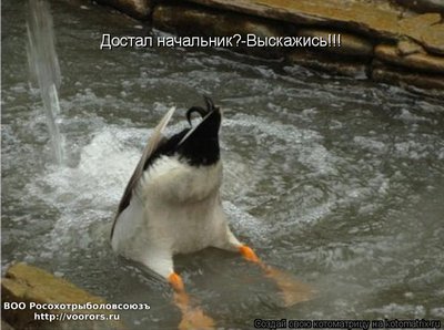в.jpg