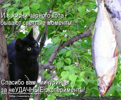 мич.jpg