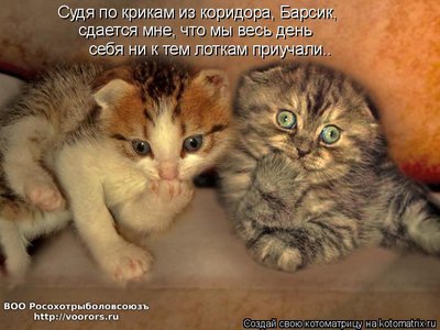 бар.jpg