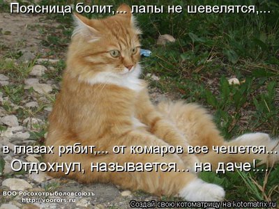 615681.jpg