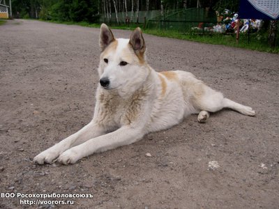 июнь 2014 074.jpg