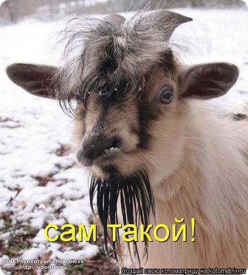сам.jpg