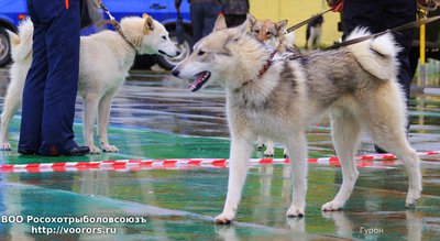 6 IMG_0244.JPG