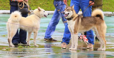 2 IMG_0199.JPG