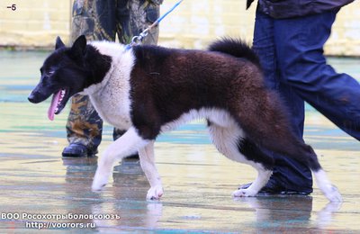 5 IMG_0280.JPG