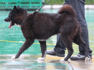 5 IMG_0608.JPG