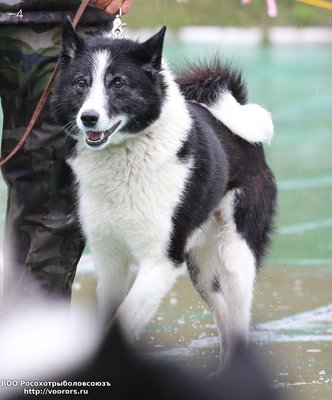 4 IMG_0610ККдо.JPG