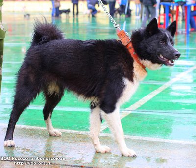 IMG_0319.JPG