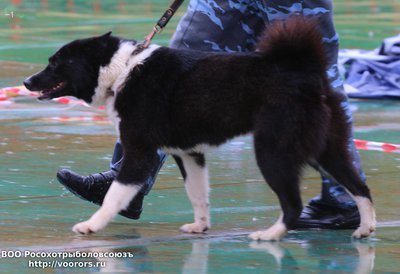 1 IMG_0712.JPG