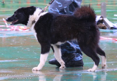 1 IMG_0701.JPG