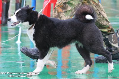 6 IMG_0757.JPG