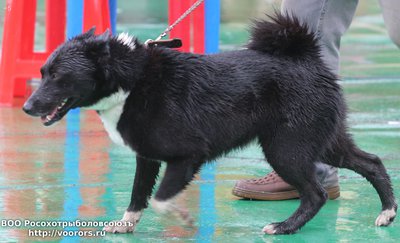 5 IMG_0756.JPG