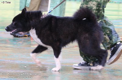 3 IMG_0373.JPG