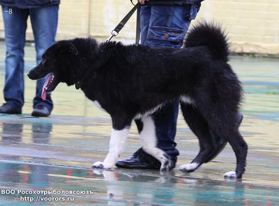 8 IMG_0347.JPG
