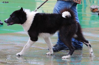 6 IMG_0383.JPG